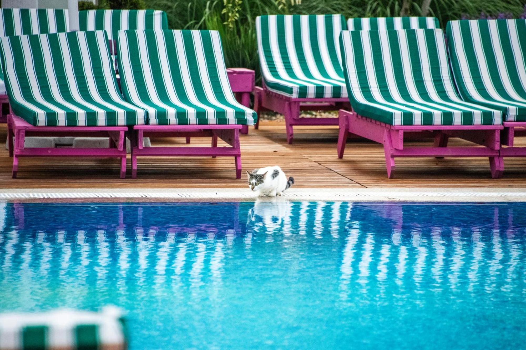 Ibis Styles Venus酒店 外观 照片